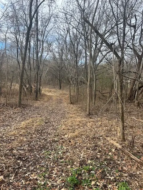 0 Mayo Rd, Adams, TN 37010 - #2