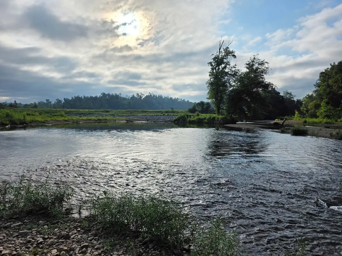 7209 Topsy Rd, Waynesboro, TN 38485 - #1