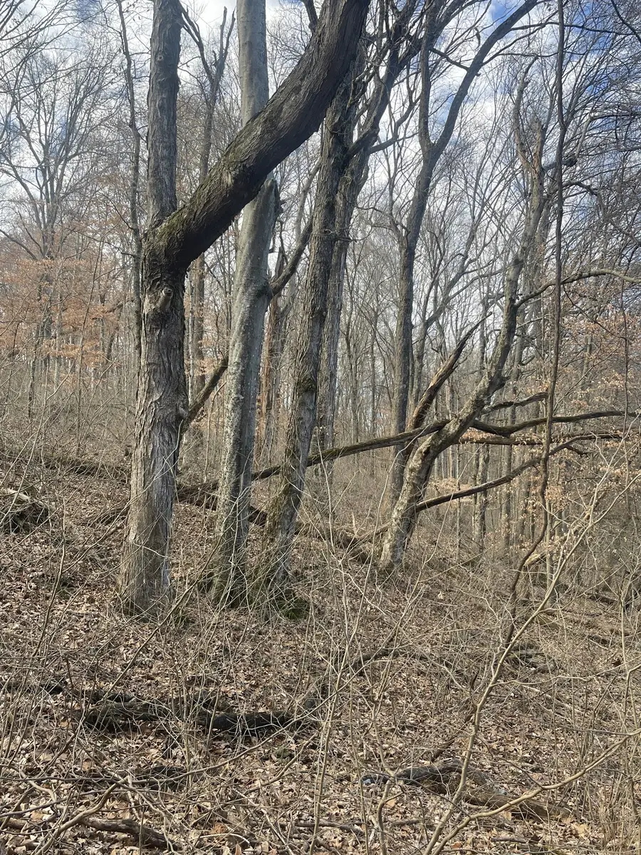 0 New Chapel Rd, Springfield, TN 37172 - #2