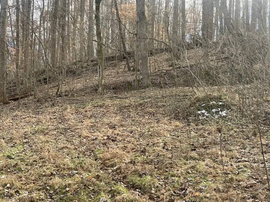 0 New Chapel Rd, Springfield, TN 37172 - #3