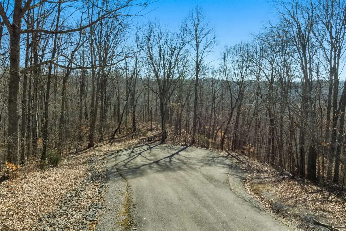 259 Randy Ct, Smithville, TN 37166 - #1