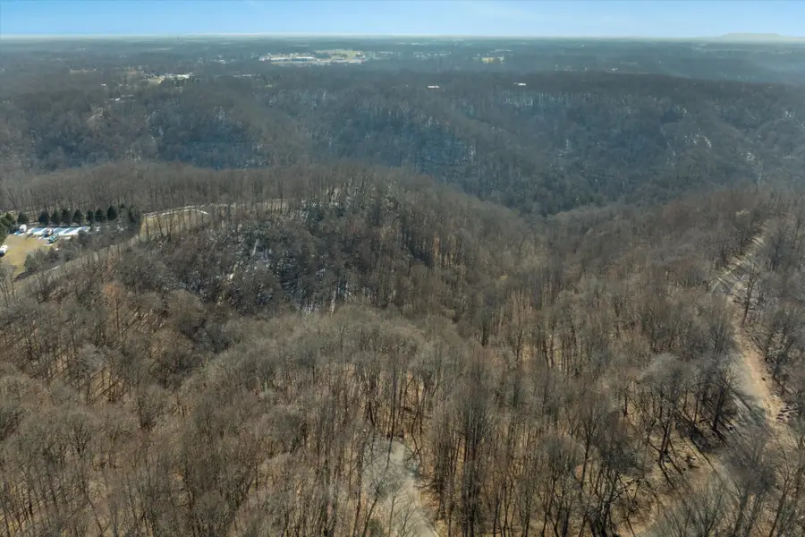 259 Randy Ct, Smithville, TN 37166 - #2