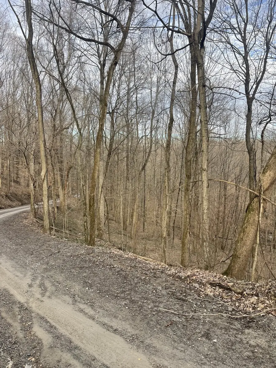 0 Johns Creek Rd, Lafayette, TN 37083 - Image #2