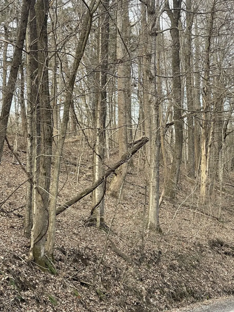 0 Johns Creek Rd, Lafayette, TN 37083 - Image #3