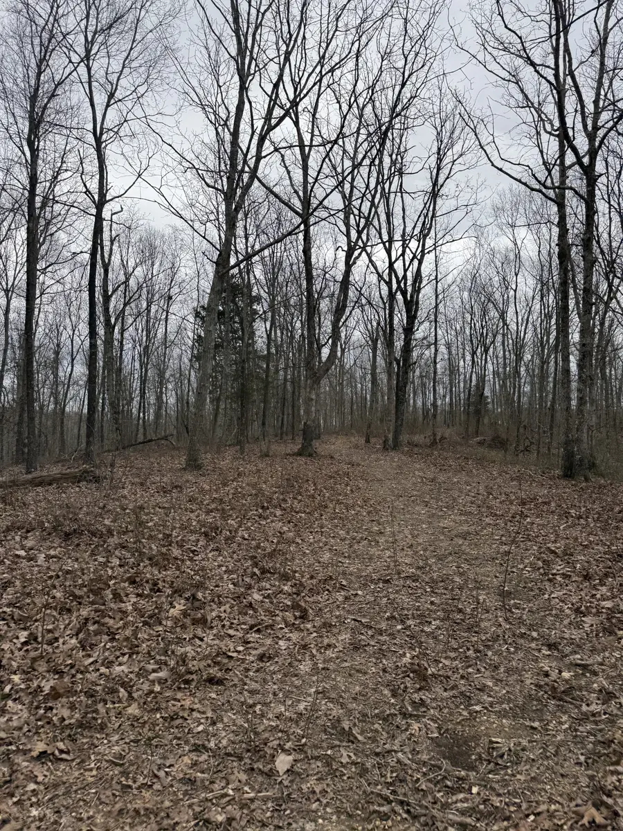 0 Bear Creek Lot 53 Rd, Waverly, TN 37185 - Image #3