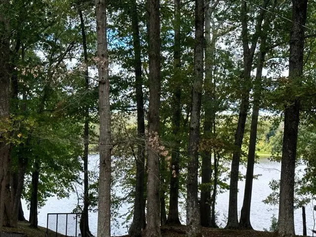 0 Bayview Dr Lot 160&161, Bumpus Mills, TN 37028 - Image #2