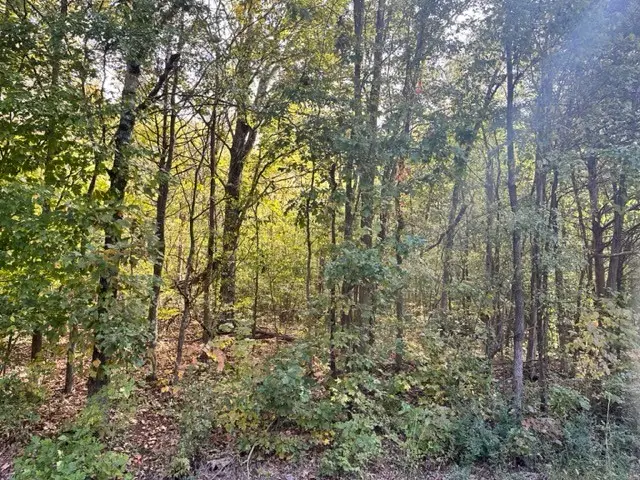 0 Bayview Dr Lot 160&161, Bumpus Mills, TN 37028 - Image #3