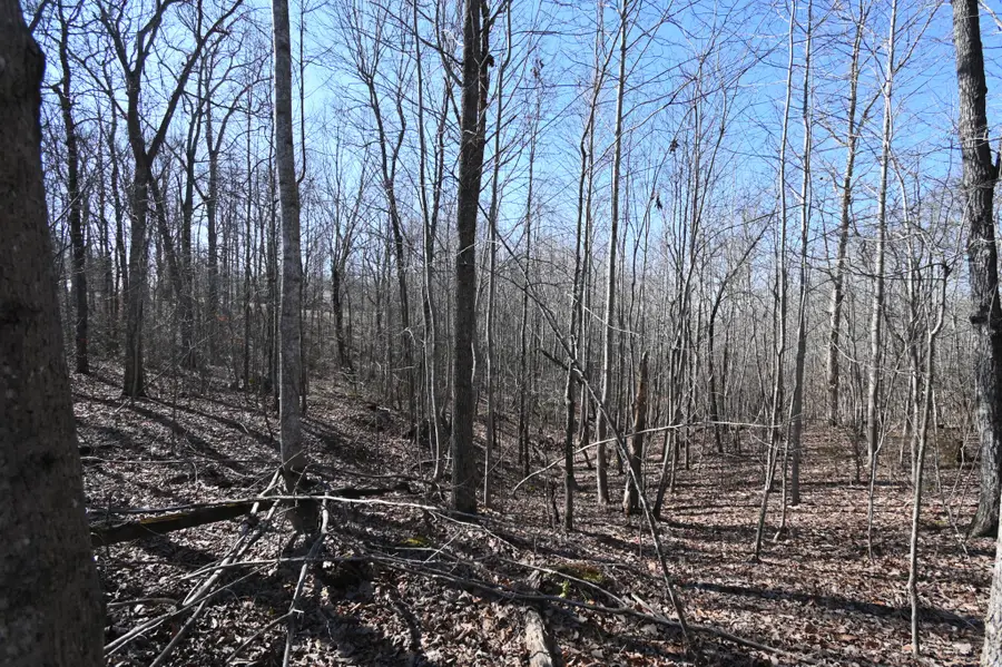 2172 Airport Ridge Rd, Linden, TN 37096 - #3