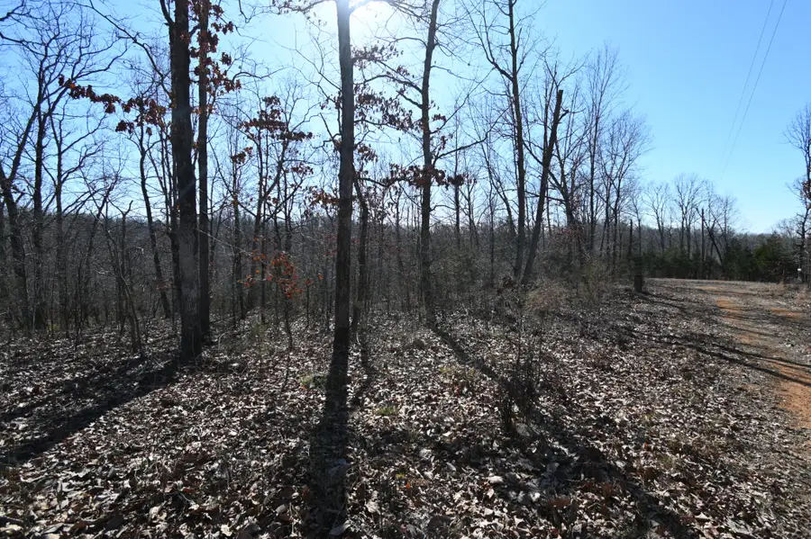 117 Wyatt Ln, Linden, TN 37096 - #2