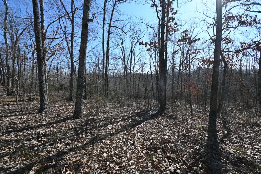 117 Wyatt Ln, Linden, TN 37096 - #3