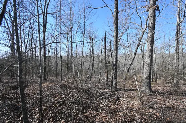 130 Wyatt Lane, Linden, TN 37096