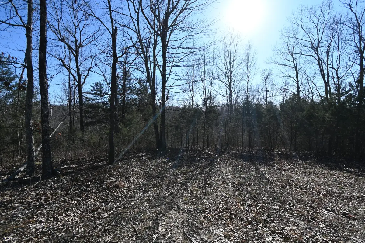 143 Wyatt Ln, Linden, TN 37096 - #1