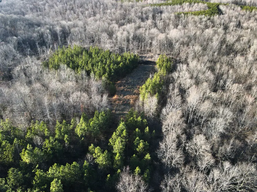 0 Hurricane Creek Road, Stewart, TN 37175 - Image #2