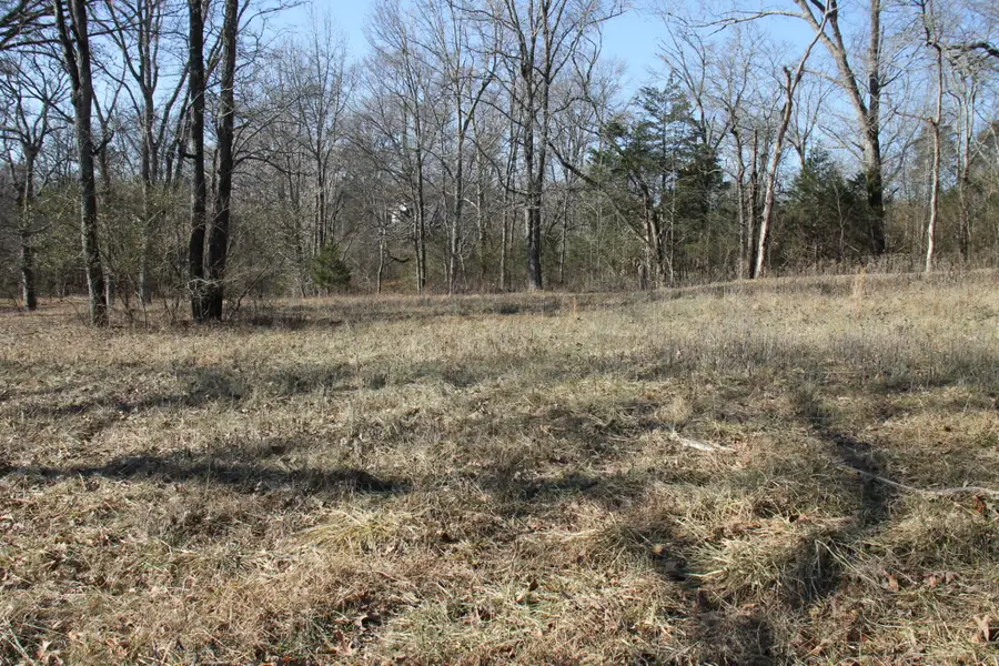 1060 Harsh Ln, Castalian Springs, TN 37031 - Image #3