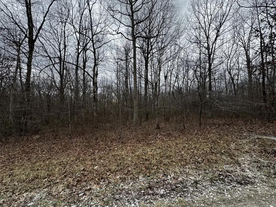 0 Hunters Ridge Trl, Altamont, TN 37301 - Image #2