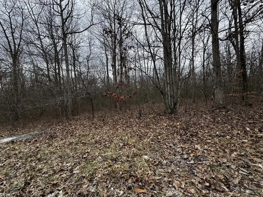 0 Hunters Ridge Trl, Altamont, TN 37301 - Image #3