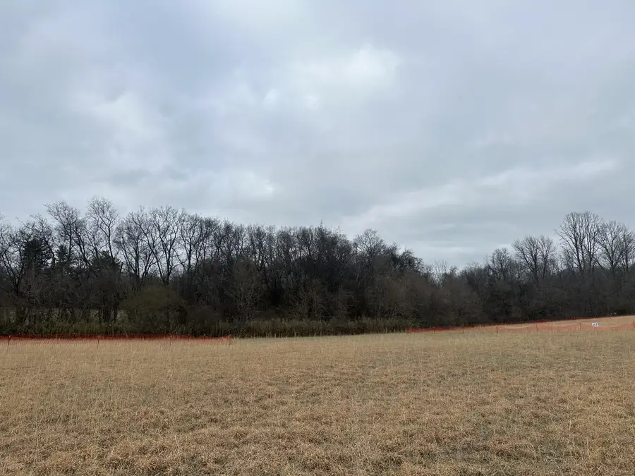 8 Southport Rd, Mount Pleasant, TN 38474 - Image #3