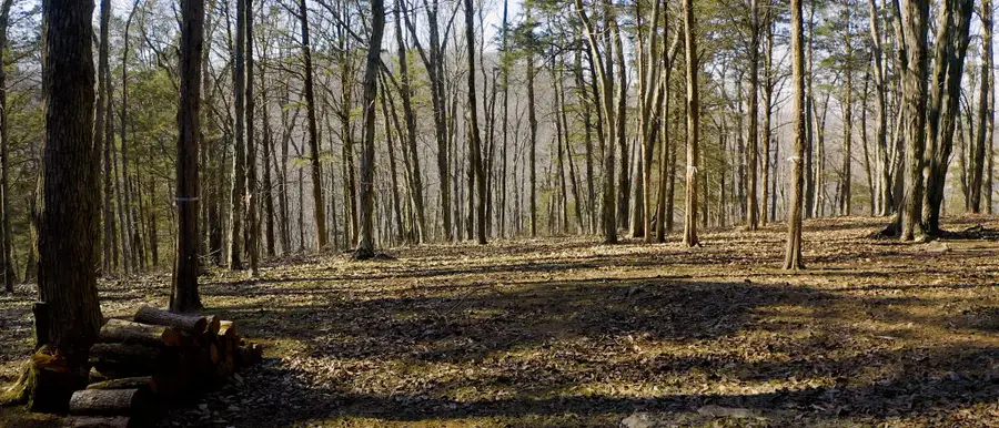 300 Trapp Rd, Watertown, TN 37184 - Image #3