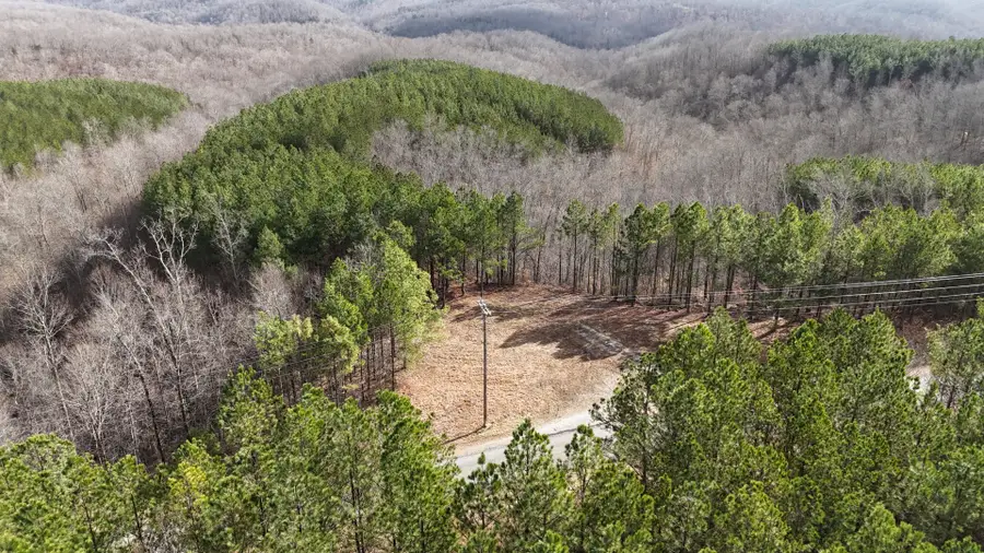 2932 Old Hohenwald Rd, Linden, TN 37096 - Image #2