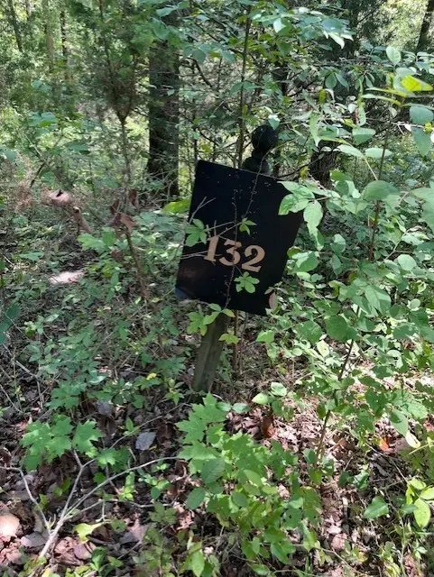 0 Maury Ln, Smithville, TN 37166 - #2