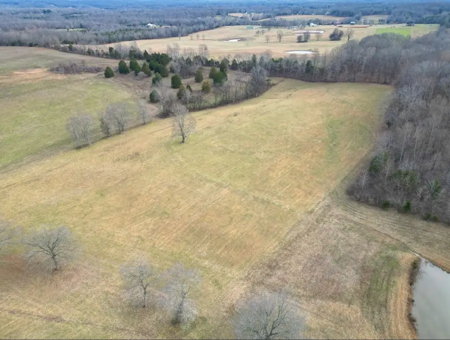 1038 Maple Valley Rd, Cumberland Furnace, TN 37051 - Image #2