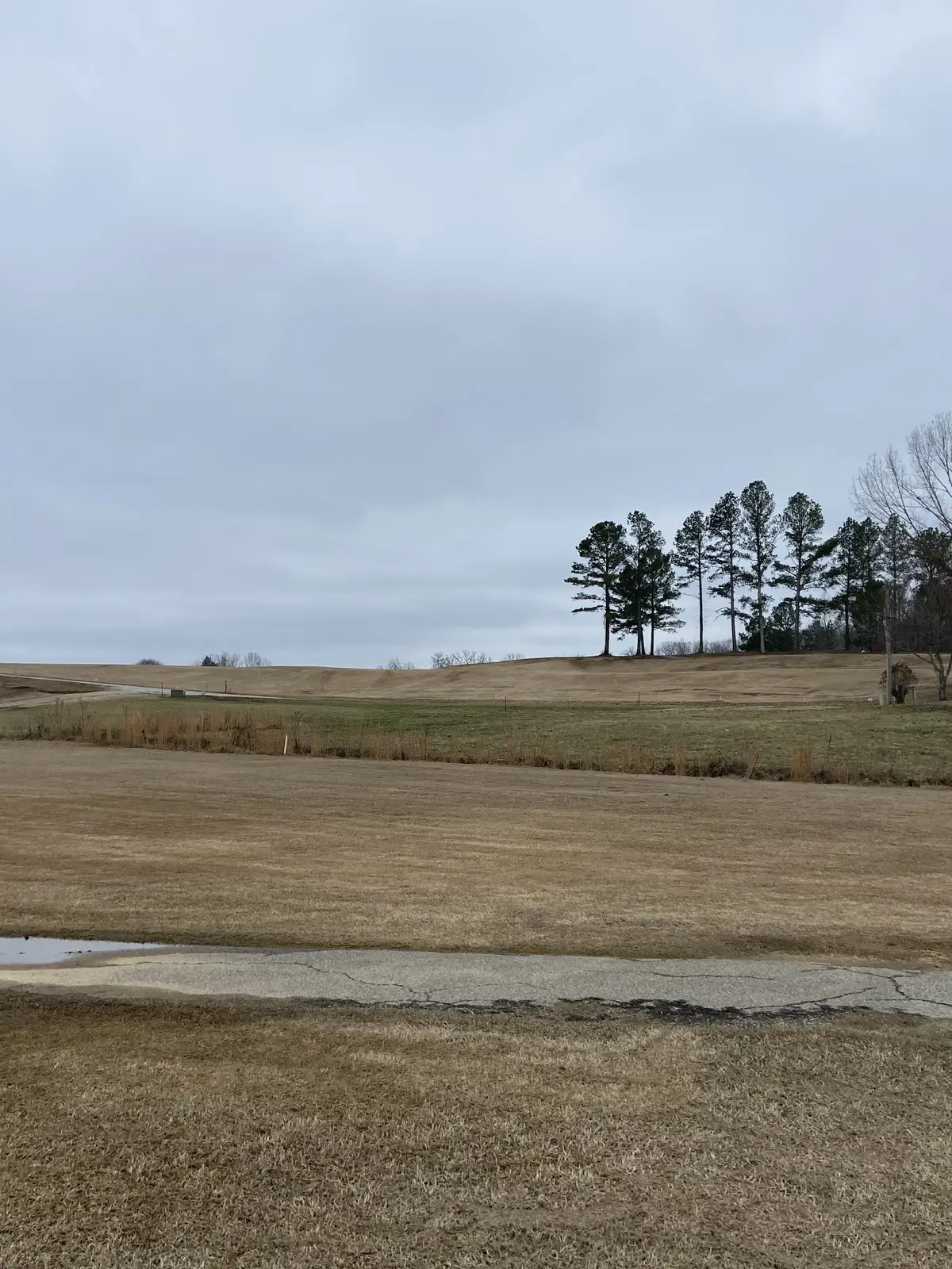 0 Rest Lane, Decaturville, TN 38329 - Image #1