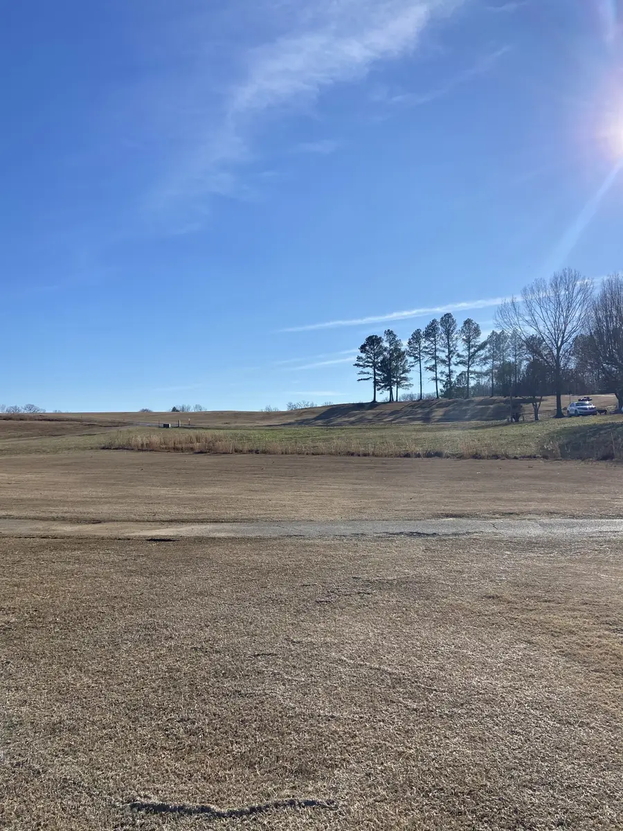 0 Rest Lane, Decaturville, TN 38329 - Image #3