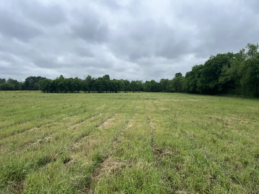 2230 Unionville Deason Rd, Bell Buckle, TN 37020 - Image #3