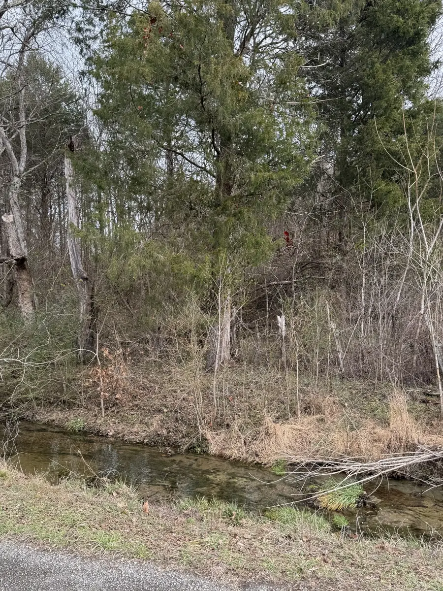 0 Bob Moore Ln, Carthage, TN 37030 - Image #3