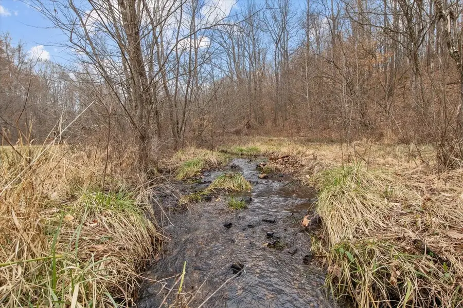 0 Jack Saunder Rd, Waverly, TN 37185 - Image #3