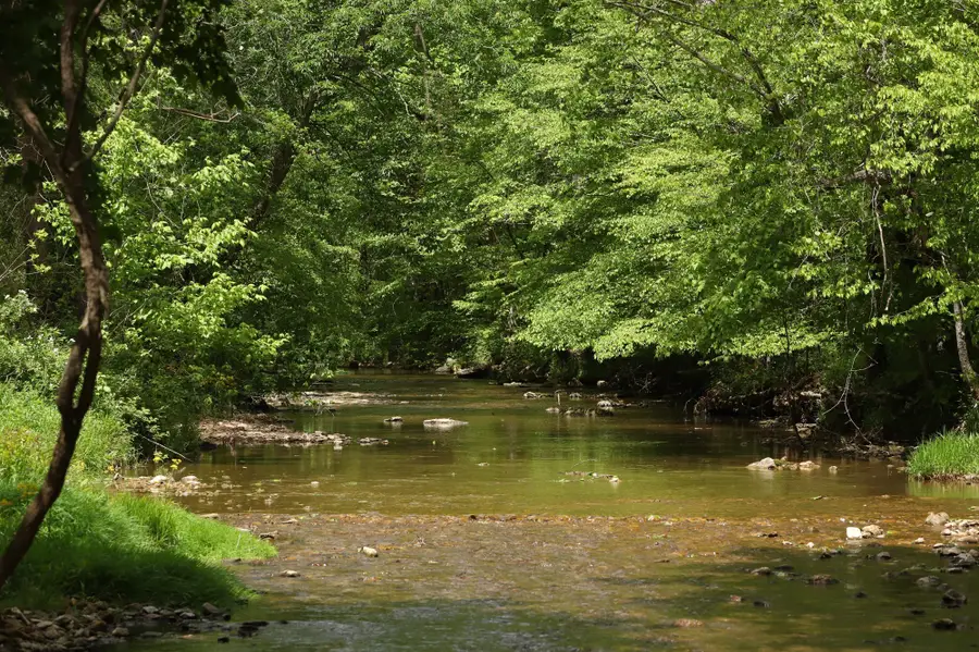 4801 Highway 48, Cumberland Furnace, TN 37051 - Image #2