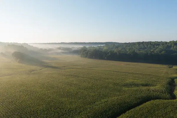 4801 Highway 48, Cumberland Furnace, TN 37051