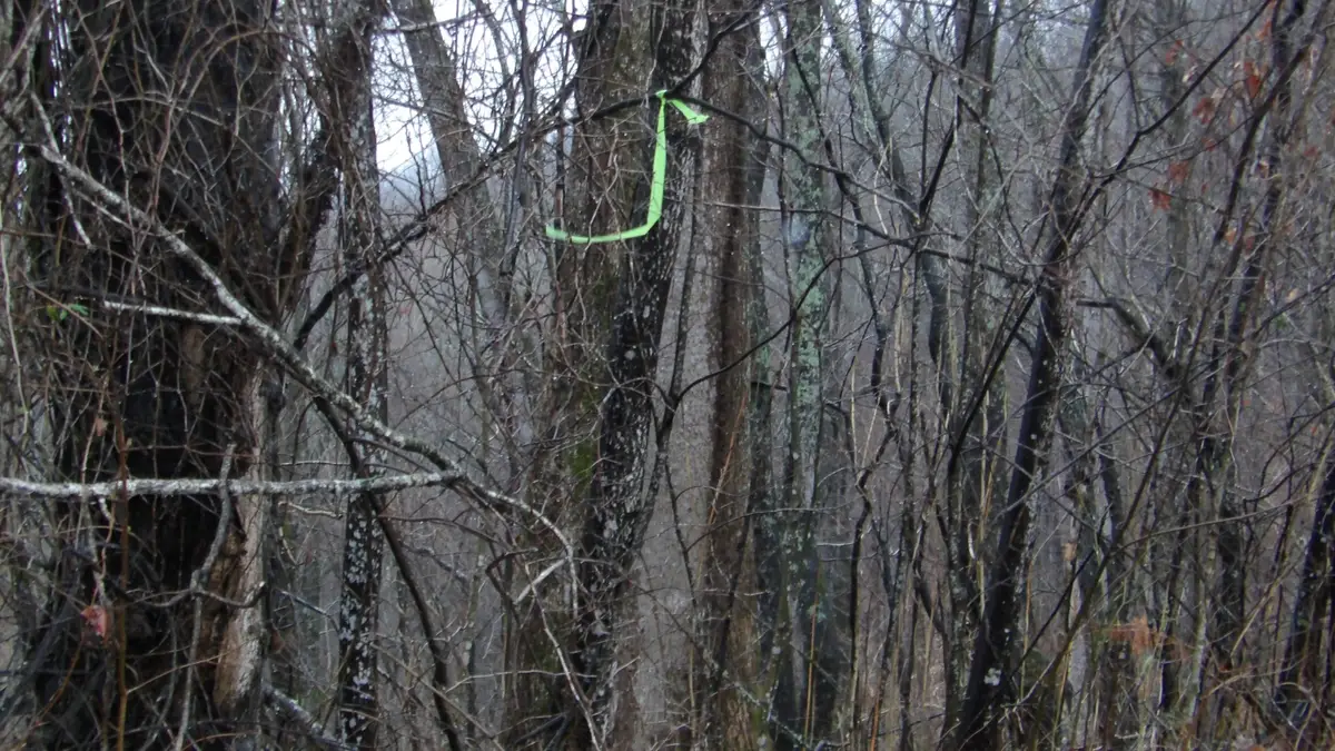 0 Savannah Drive, Smithville, TN 37166 - #1