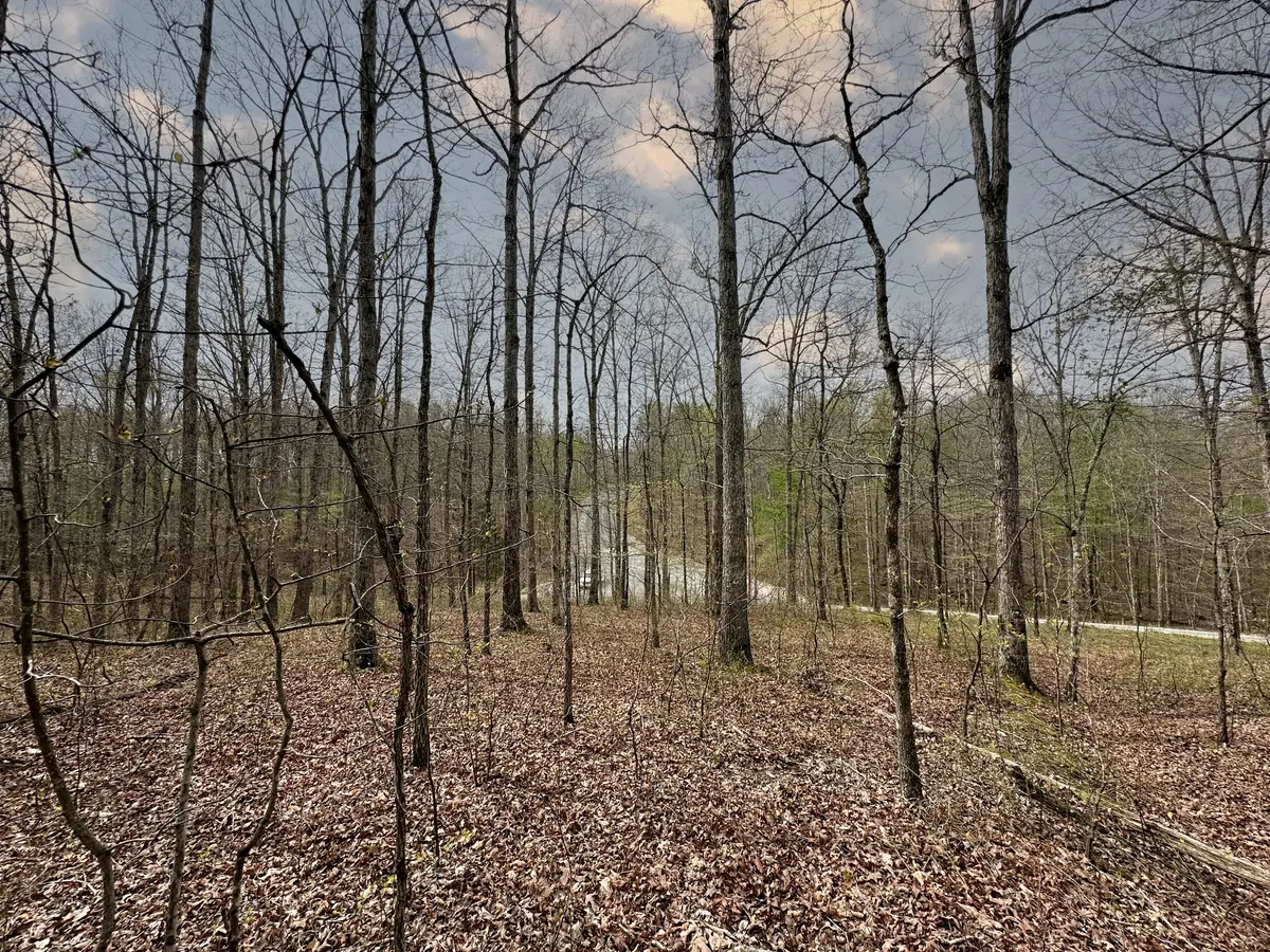 0 Ridgewood Drive, Mc Ewen, TN 37101 - #1