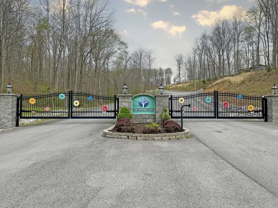 0 Ridgewood Drive, Mc Ewen, TN 37101 - #2