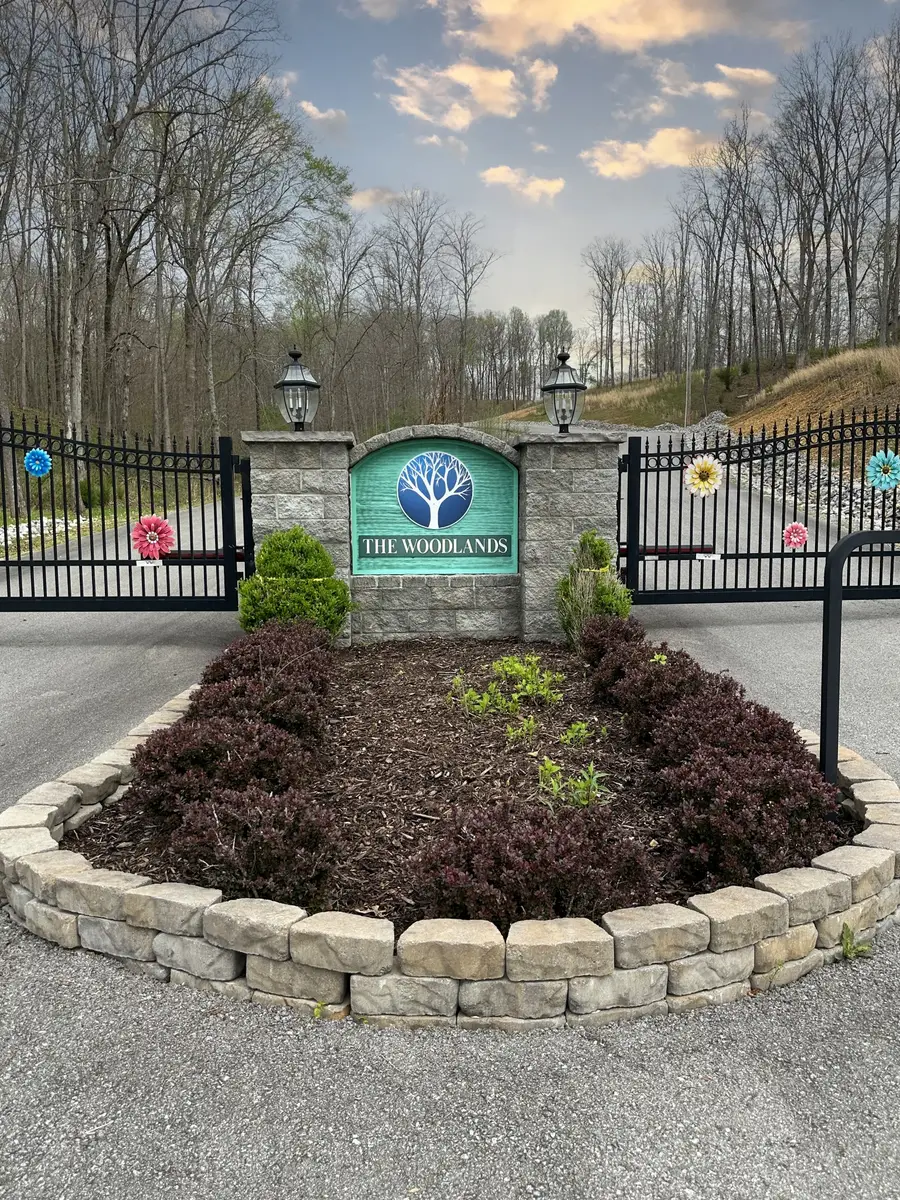 0 Ridgewood Drive, Mc Ewen, TN 37101 - #3