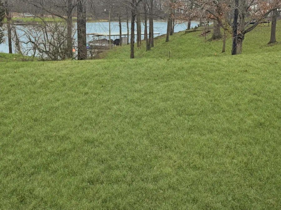 0 Eva Harbor Rd, Eva, TN 38333 - Image #3