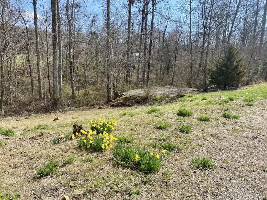 164 Norris St, Crossville, TN 38572 - #2