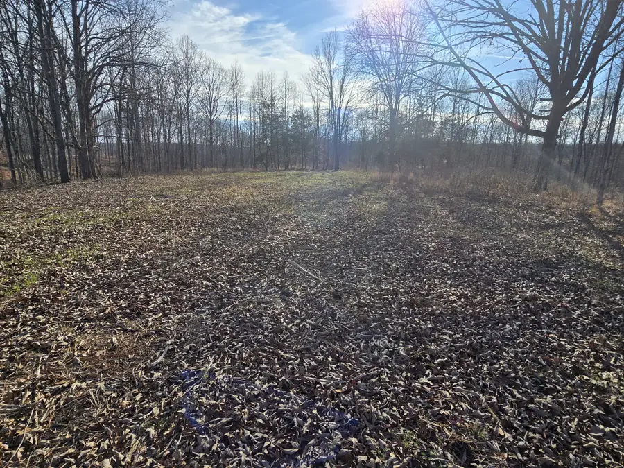 9510 Medlin Rd, Baxter, TN 38544 - #3