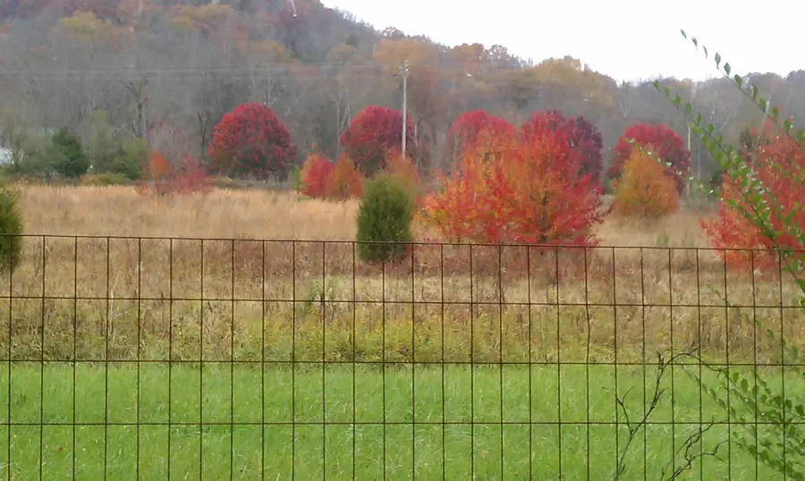 4091 New Highway 96 W, Franklin, TN 37064 - #3