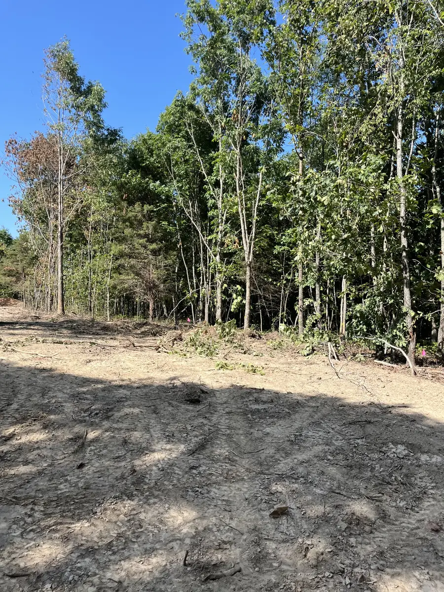 278 Bear Brook Way, Linden, TN 37096 - Image #3