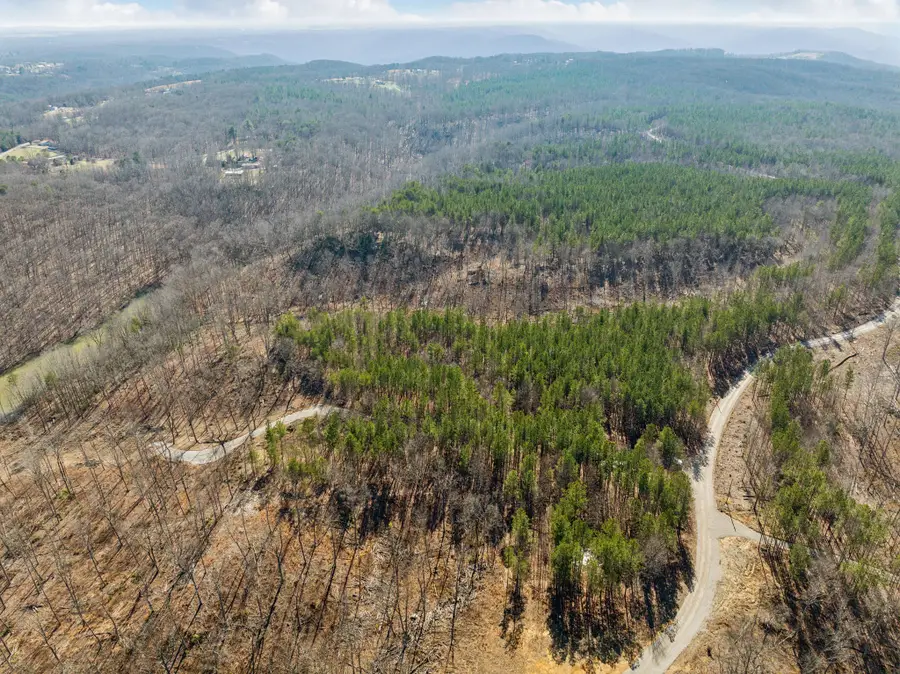 0 Spokley Road, Spencer, TN 38585 - Image #3