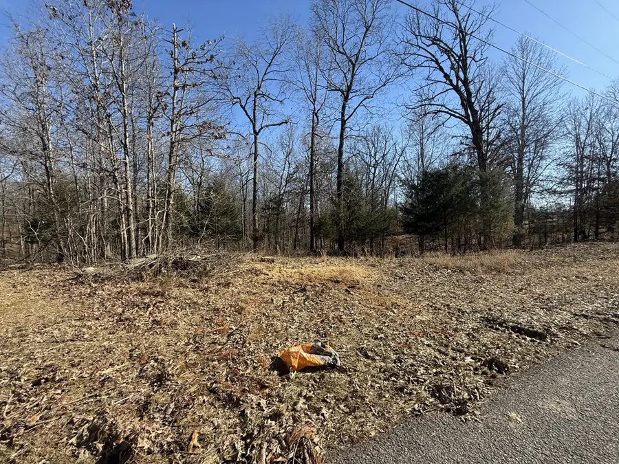 55 Backwoods Estates, Indian Mound, TN 37079 - Image #2