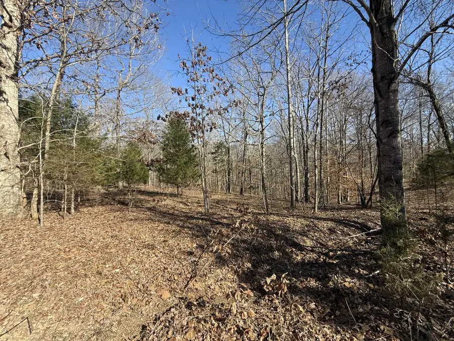 55 Backwoods Estates, Indian Mound, TN 37079 - Image #3