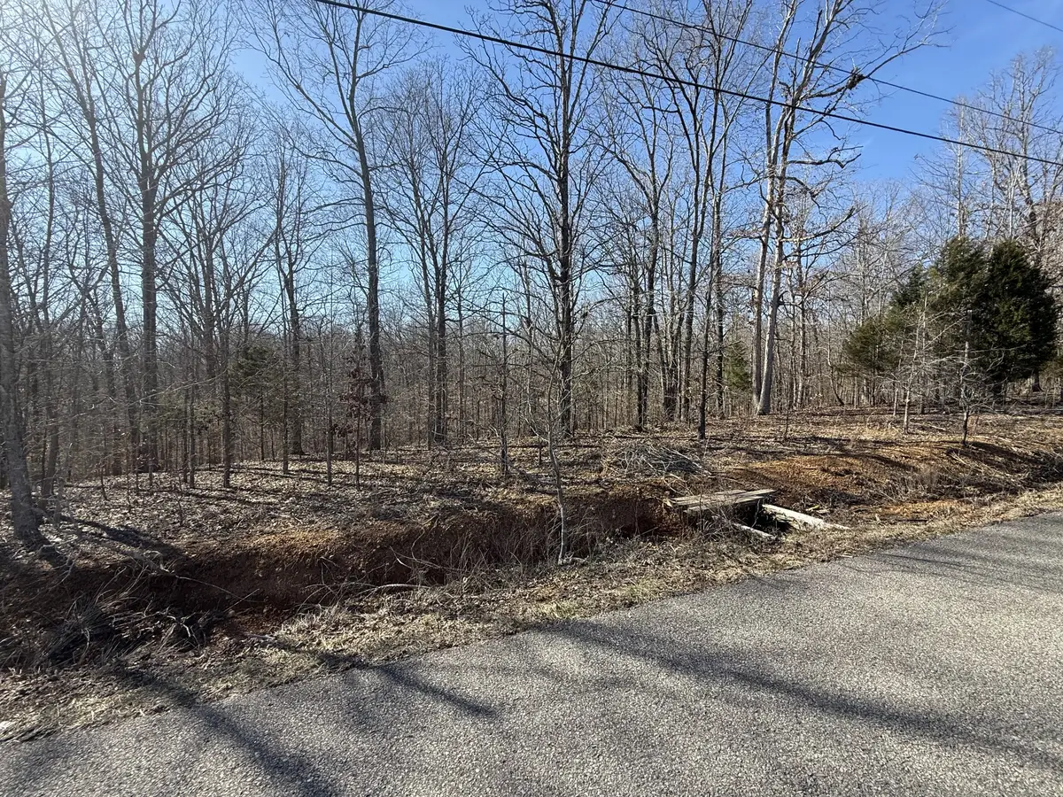 29 Backwoods Estates, Indian Mound, TN 37079 - Image #1