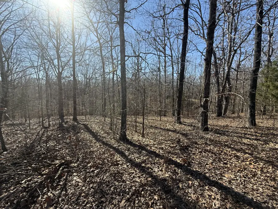 29 Backwoods Estates, Indian Mound, TN 37079 - Image #3