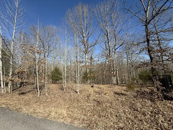 20 Backwoods Estates, Indian Mound, TN 37079