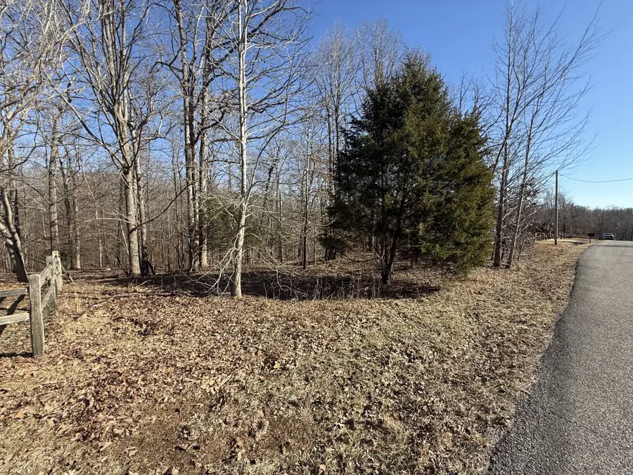 20 Backwoods Estates, Indian Mound, TN 37079 - Image #2