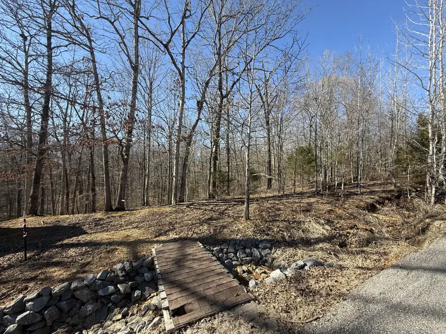 28 Backwoods Estates, Indian Mound, TN 37079 - Image #2