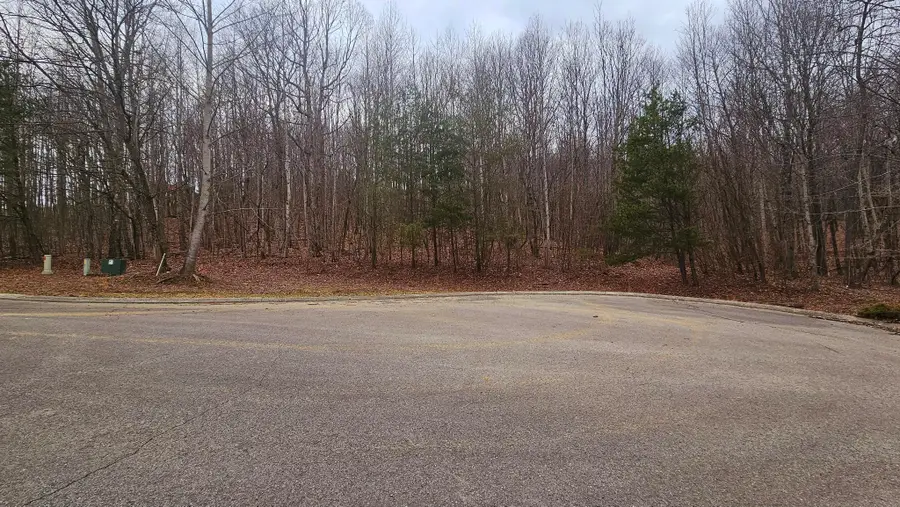 0 Mountain Top Trail, Dunlap, TN 37327 - Image #2